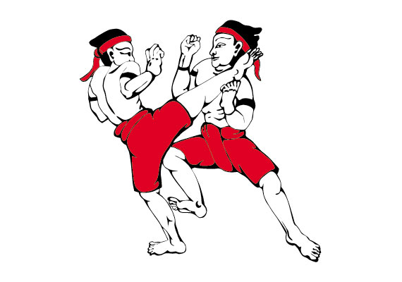 Zápasníci kung-fu